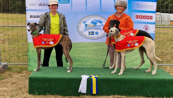 Die 3 Coursing Weltmeister aus Hünstetten