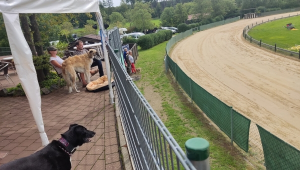 Das Training vom 13.08.2023