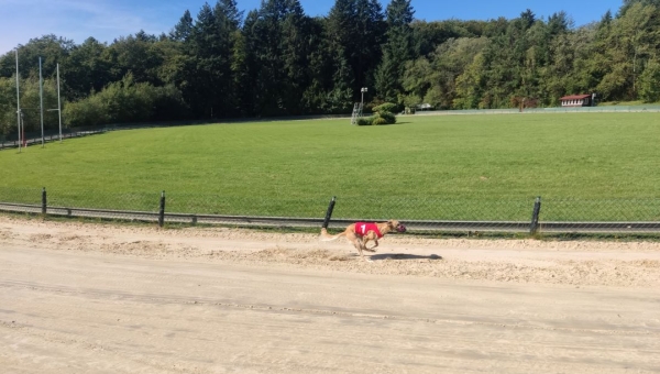 Training am 17.09.2023