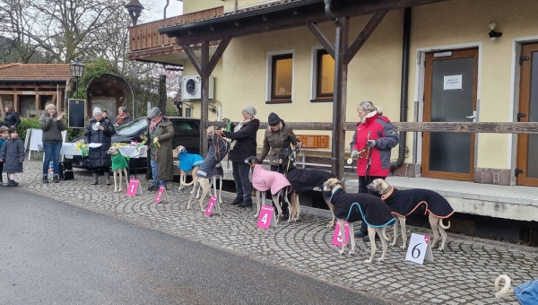 Viele tolle Plätze beim Coursing im Odenwald