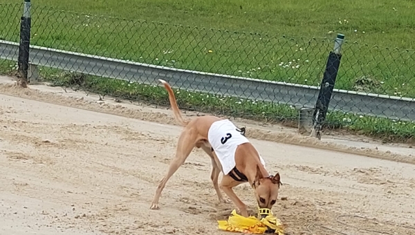 Training am 28.04.2024