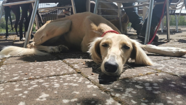 Training am 05.05.2024