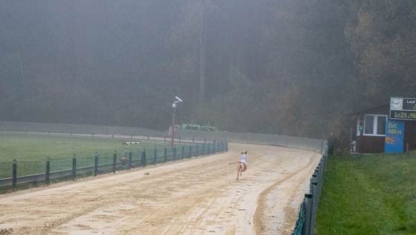 Abschlusstraining im Nebel am 10.11.2024
