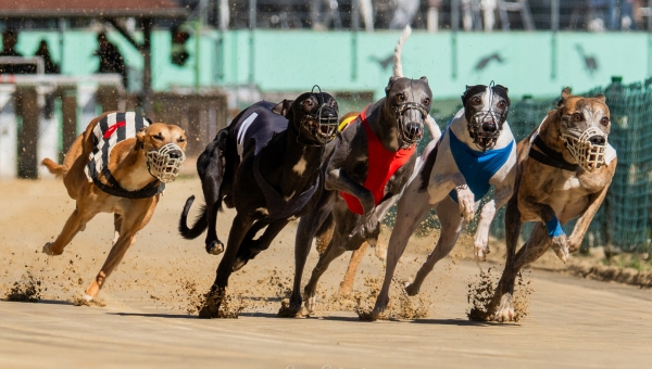 Kurzbericht zur CAC vom 5. April und zum 280 Meter Rennen am 6. April