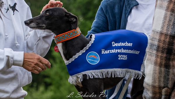 Bericht zur Dt. Kurzstreckenmeisterschaft am 17.05.2025