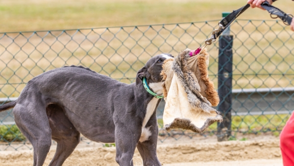 Training am 06.07.2025