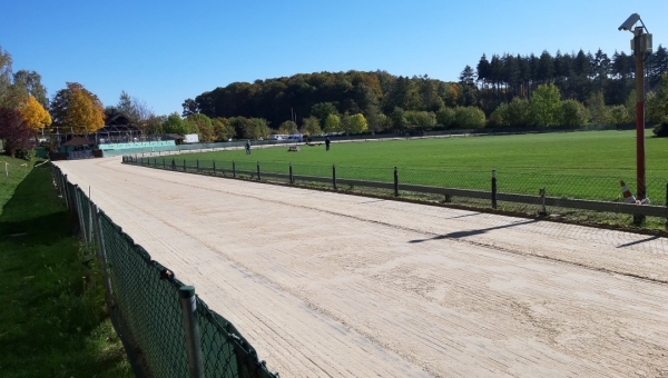 Goldener Oktober-Trainingstag am 9.10.22 in der Windhund-Arena