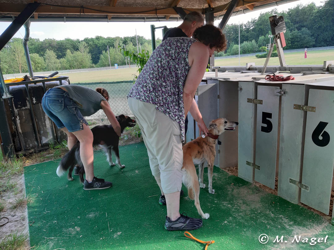 Je später der Abend... desto angenehmer die Temperaturen