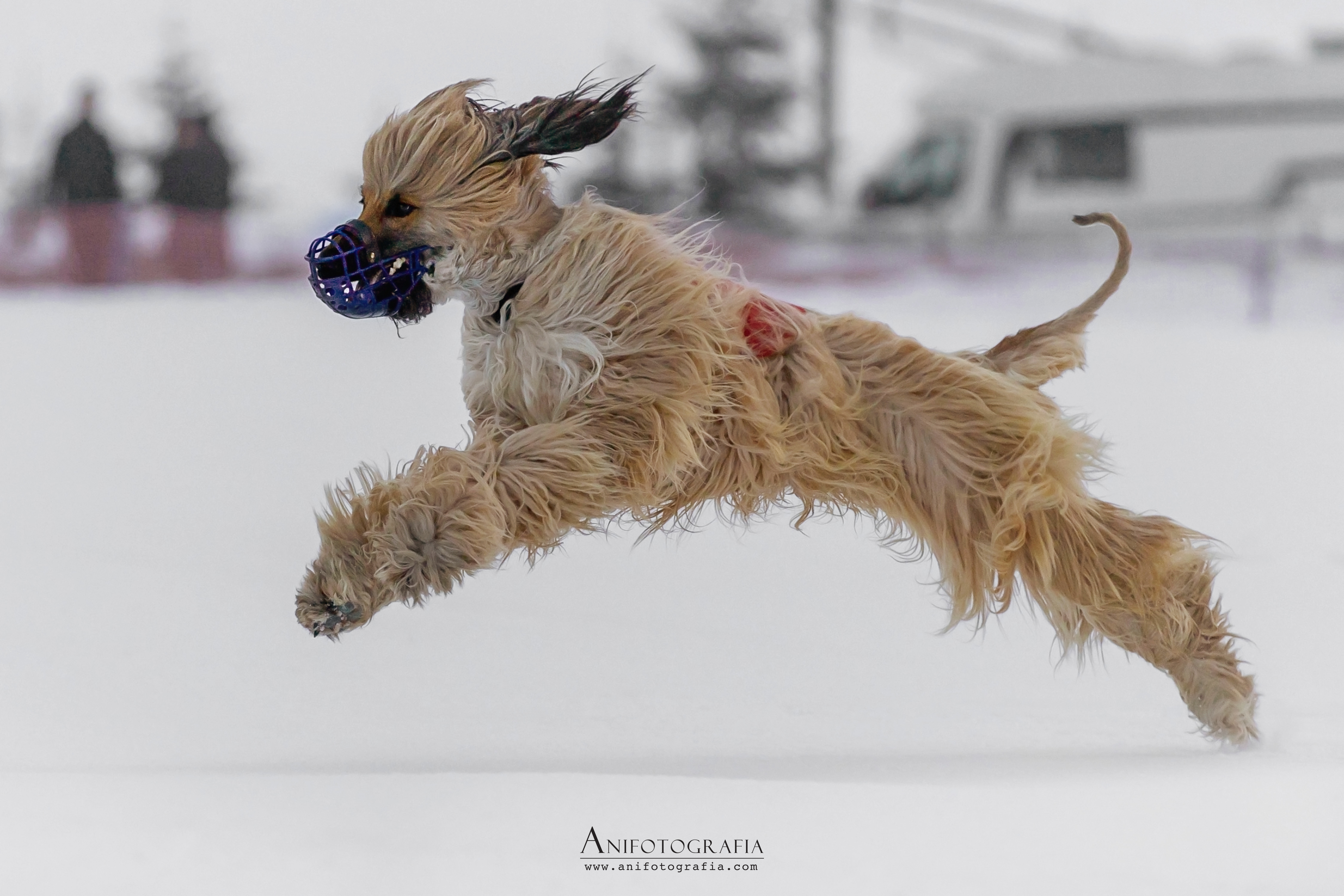 Erste Erfolge in 2024 beim Schneecoursing im Stubaital 20. &amp; 21.Januar 2024