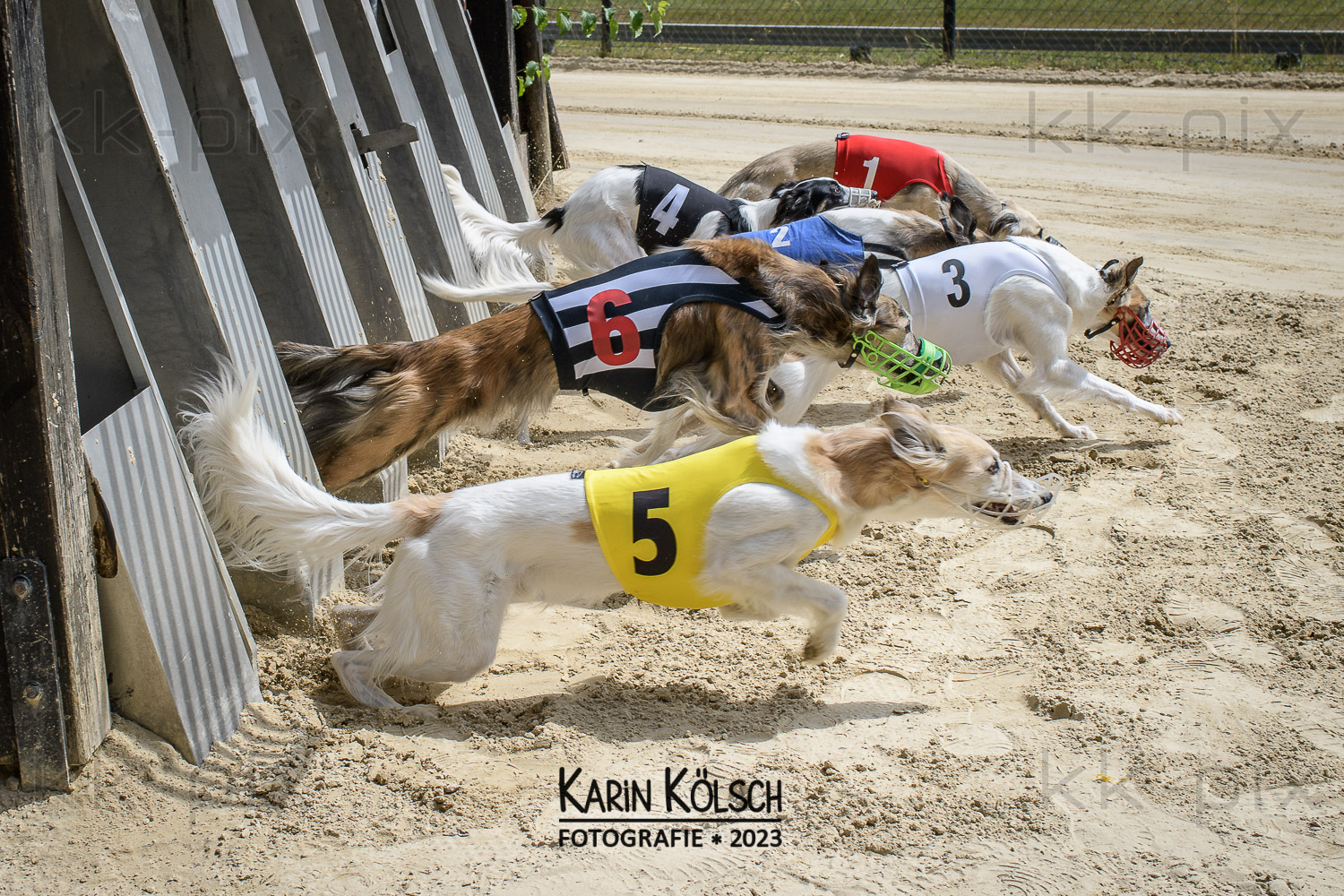 Ausstellung und Rennen 15./16.07.2023