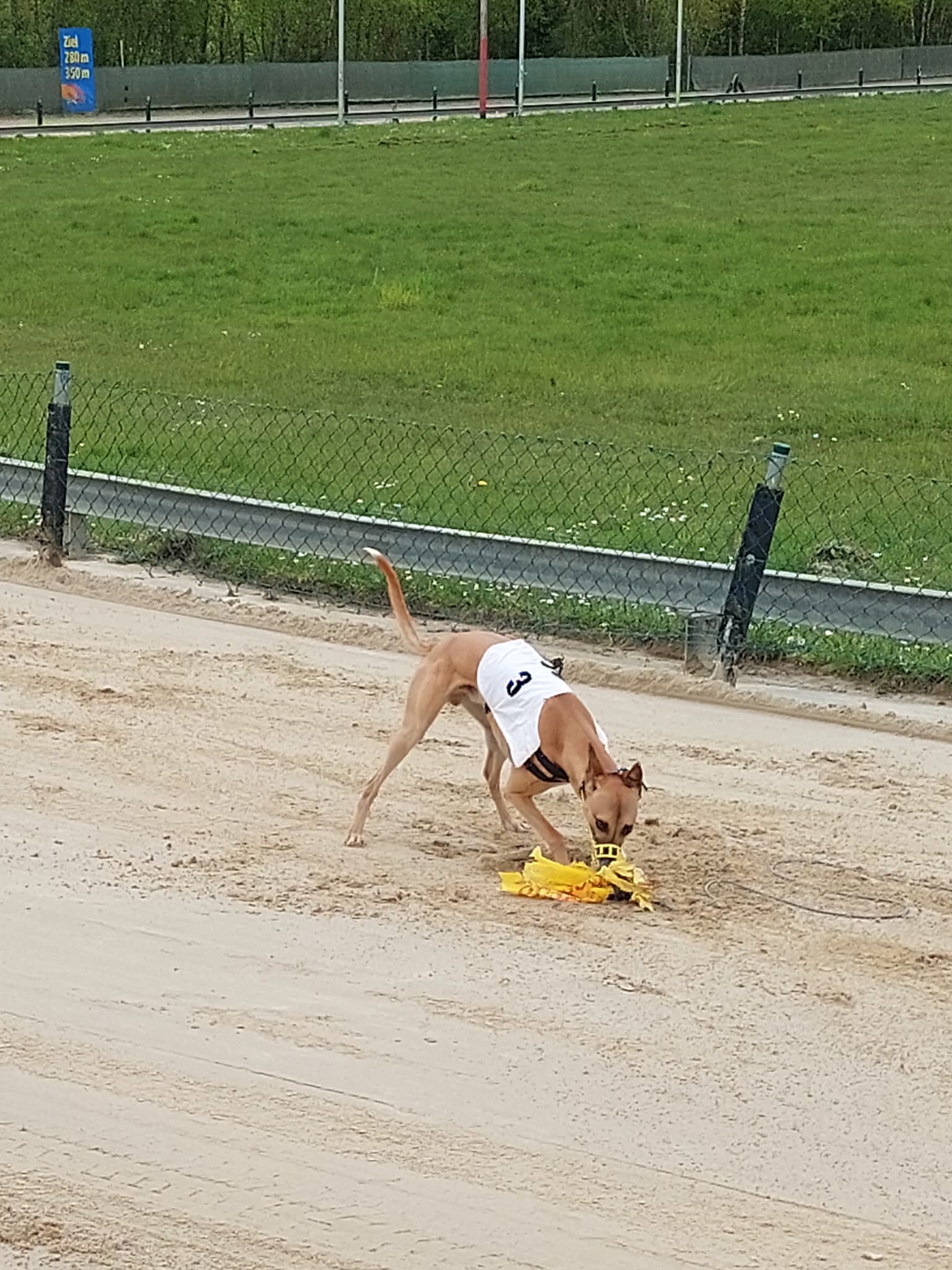 Training am 28.04.2024