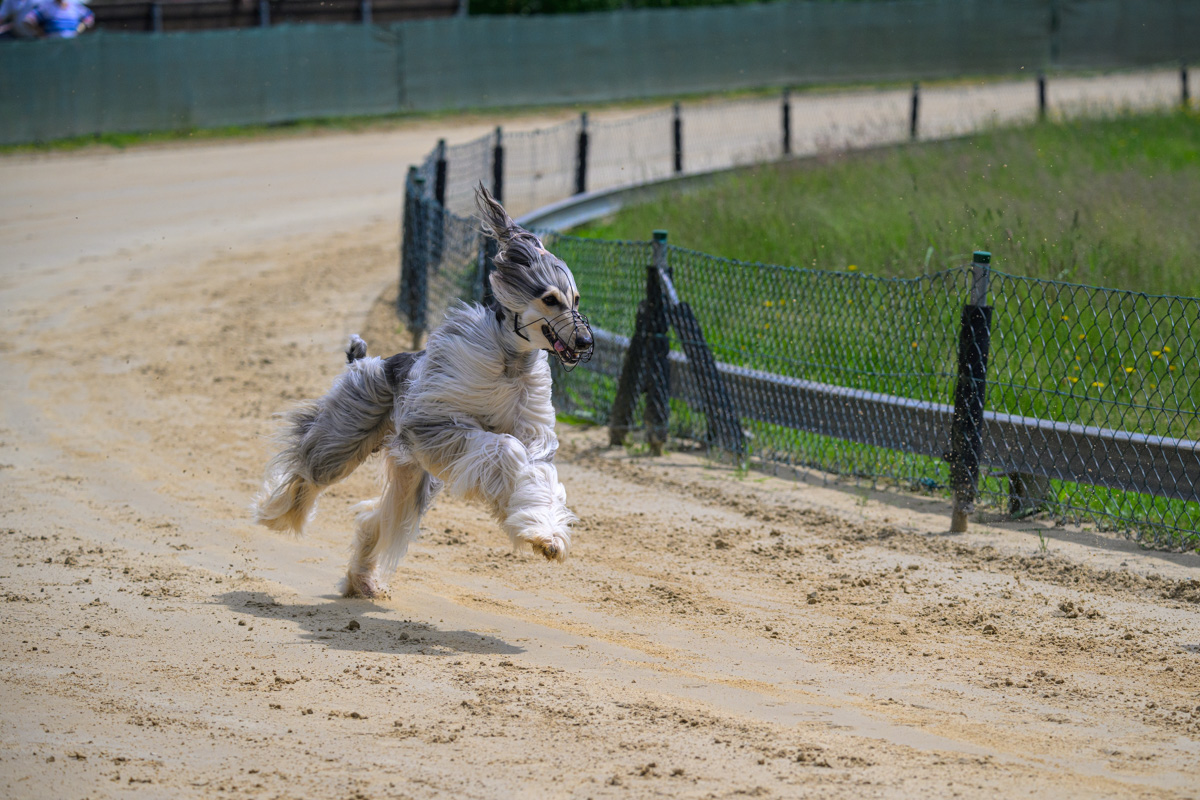 Fotos vom Training am 26.05.2024