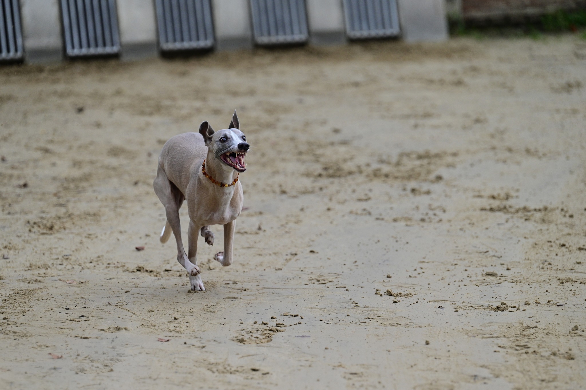 Training am 20.10.2024