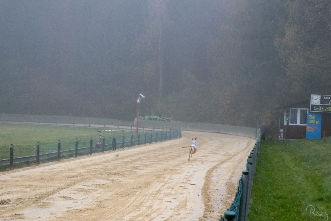 Abschlusstraining im Nebel am 10.11.2024