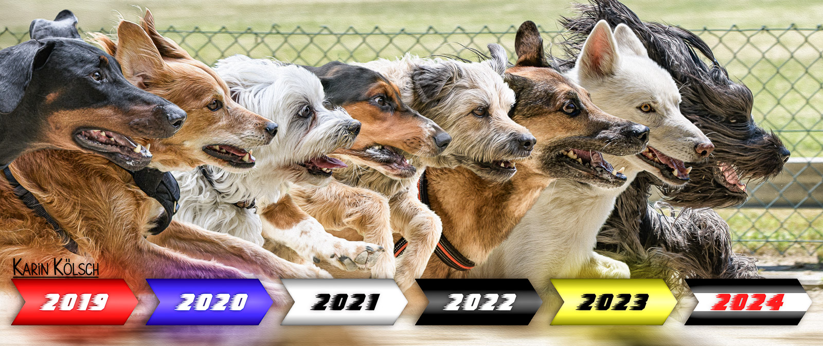 jederhundrennen2024header