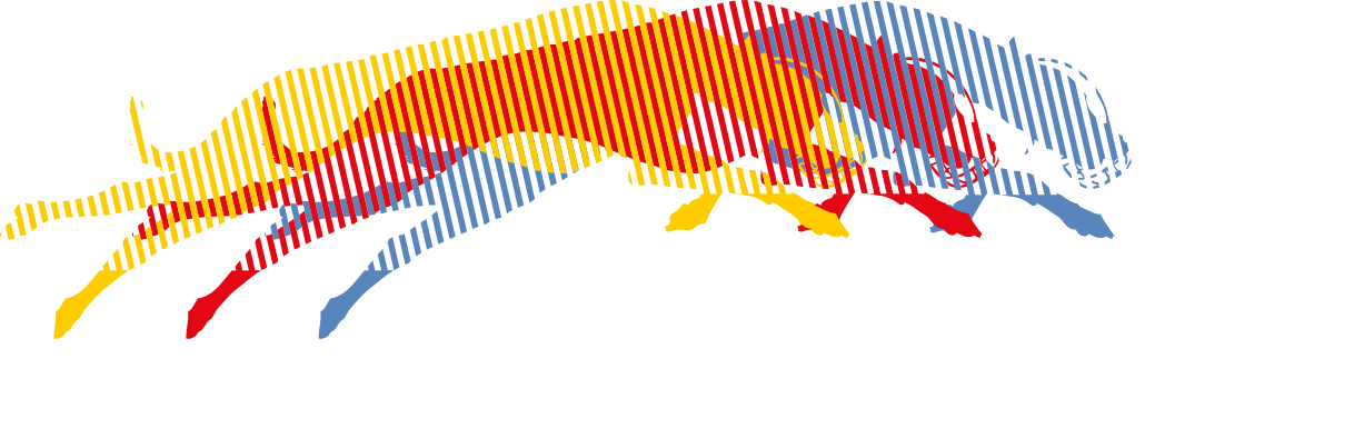 Windhund-Arena Hünstetten